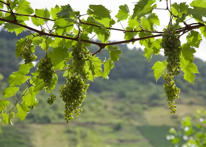 Karl Mueller Commune fusionnée de Cochem-Land